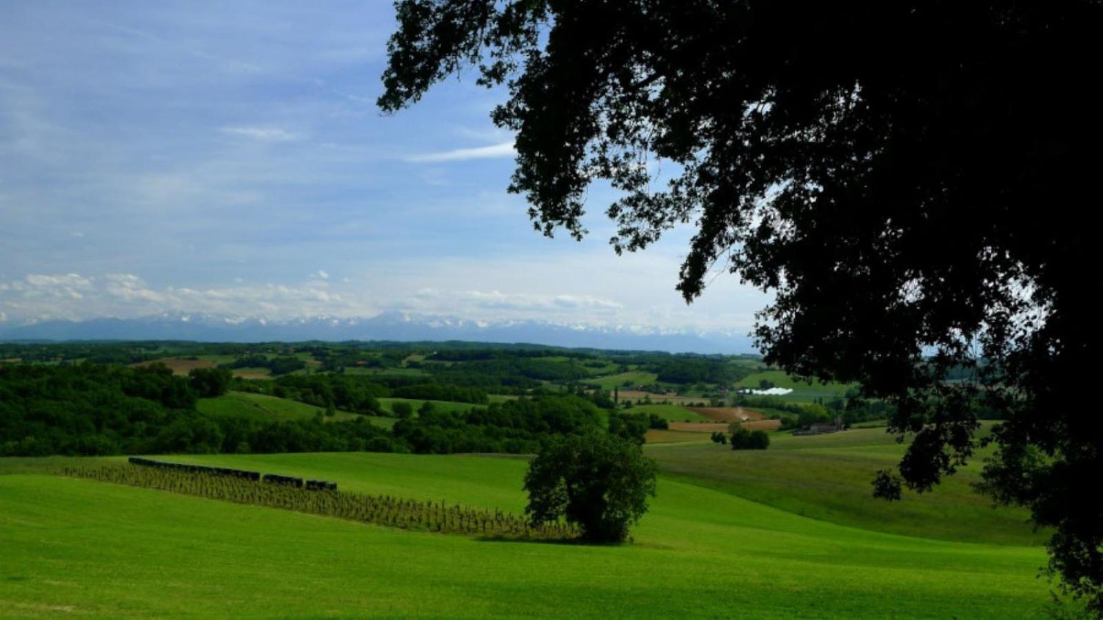 Les Hauts De Saint Christaud Pallanne Exterior foto
